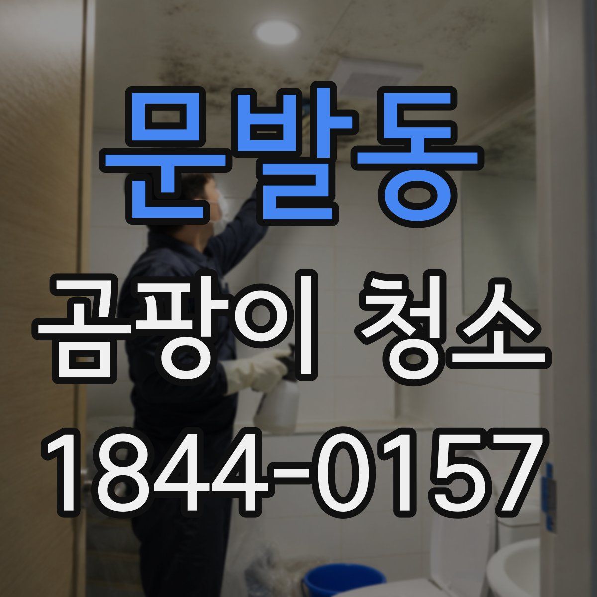 문발동 곰팡이 청소