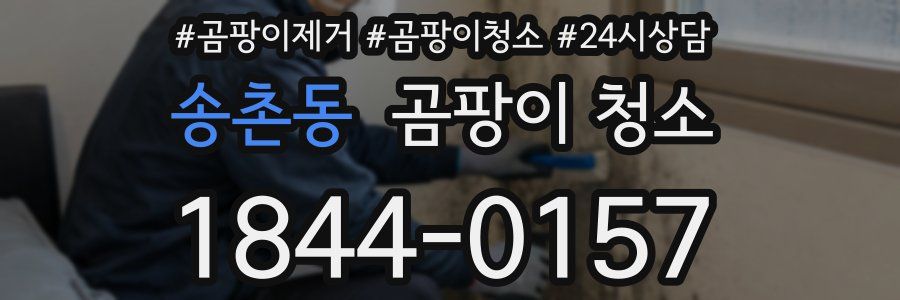 송촌동 곰팡이 청소