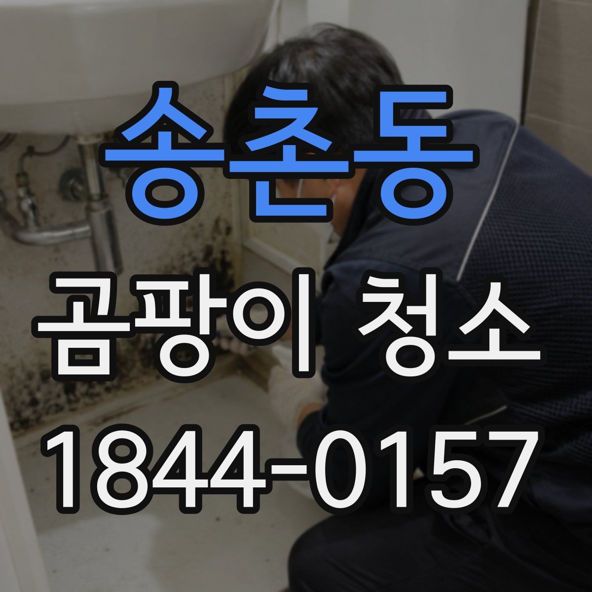 송촌동 곰팡이 청소