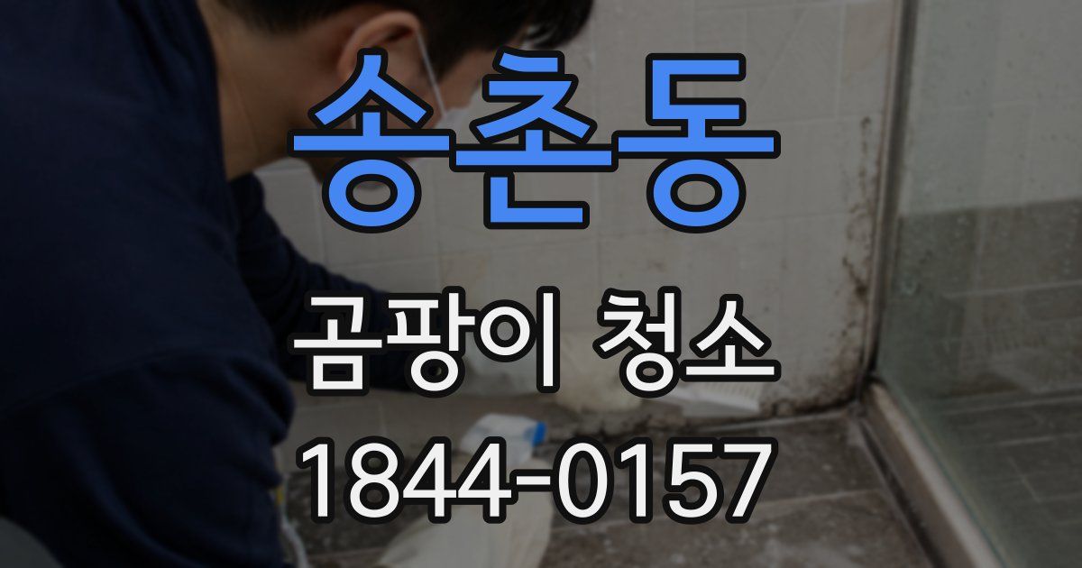 송촌동 곰팡이 청소