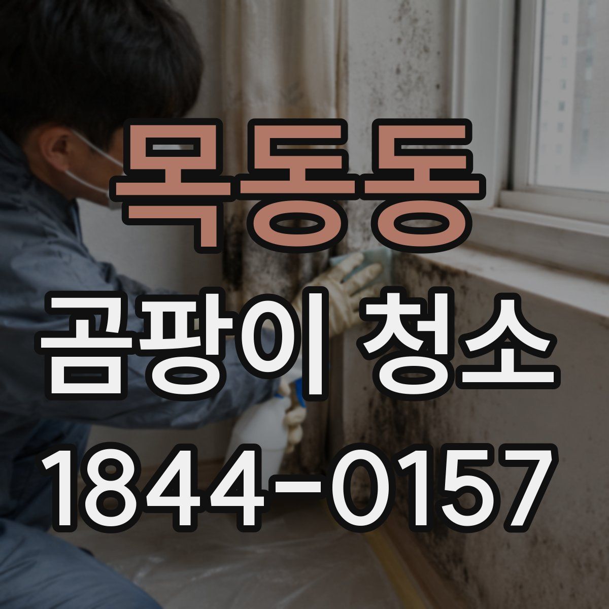 목동동 곰팡이 청소