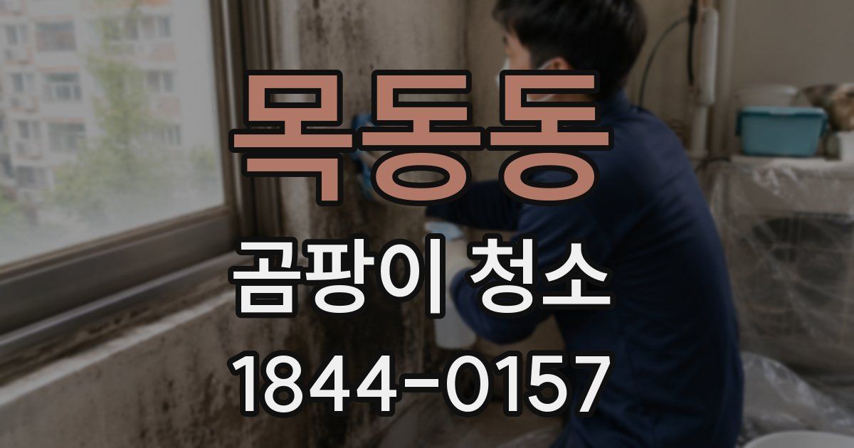 목동동 곰팡이 청소