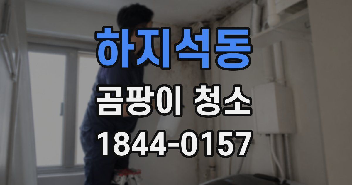 하지석동 곰팡이 청소