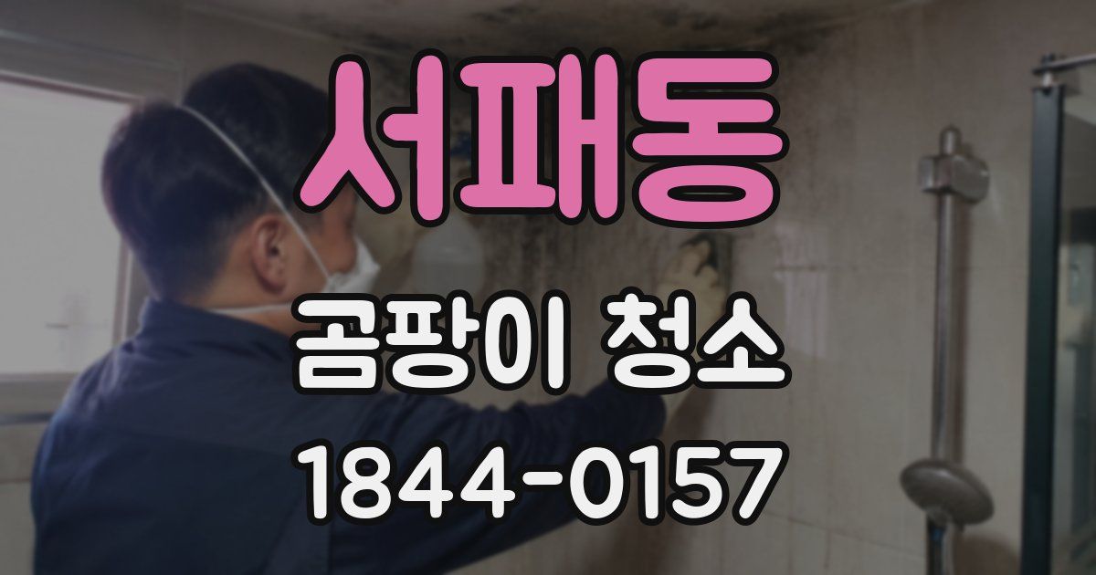 서패동 곰팡이 청소