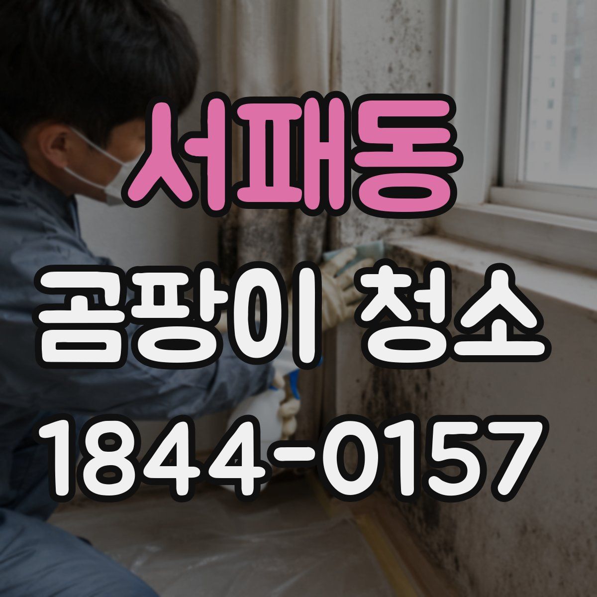 서패동 곰팡이 청소
