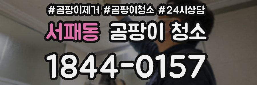 서패동 곰팡이 청소