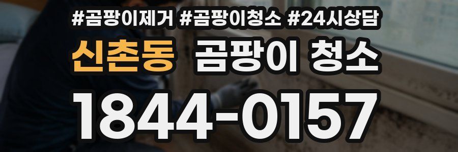 신촌동 곰팡이 청소