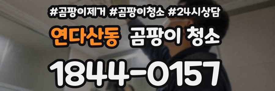 연다산동 곰팡이 청소