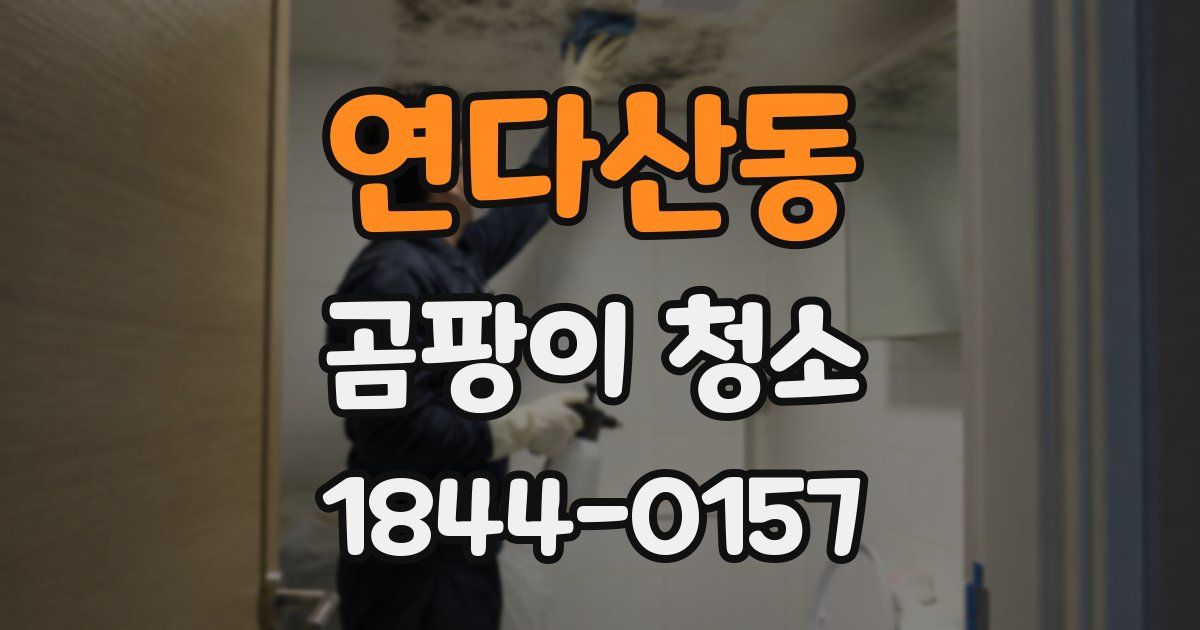 연다산동 곰팡이 청소