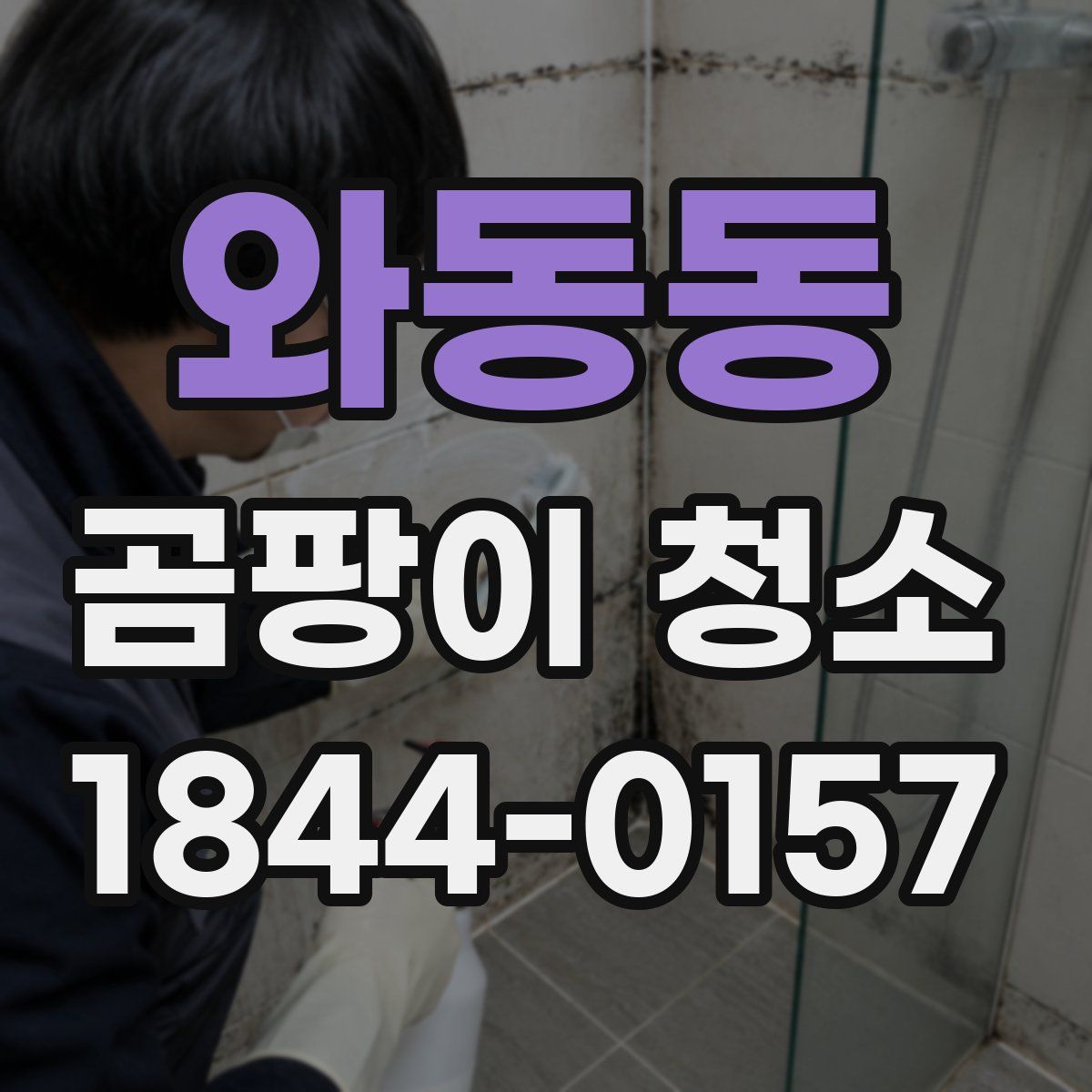 와동동 곰팡이 청소