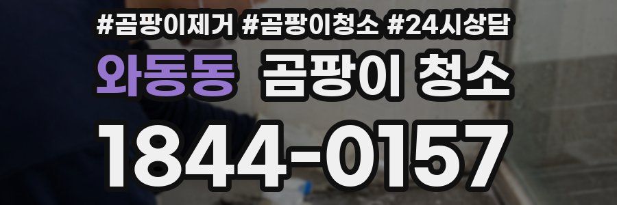 와동동 곰팡이 청소