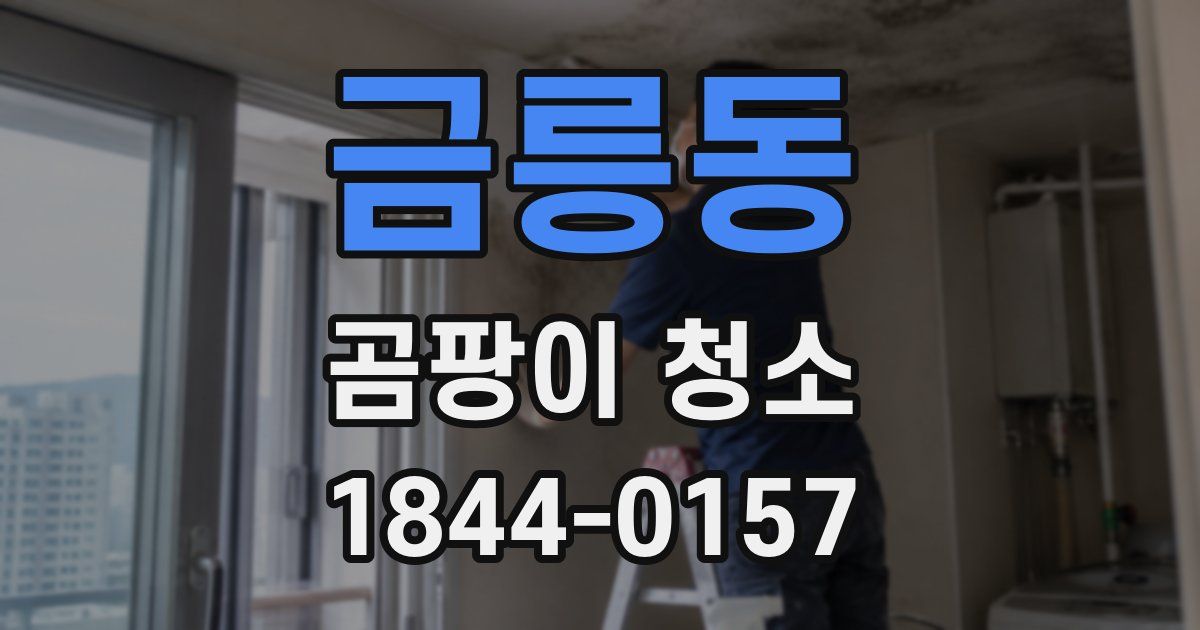 금릉동 곰팡이 청소