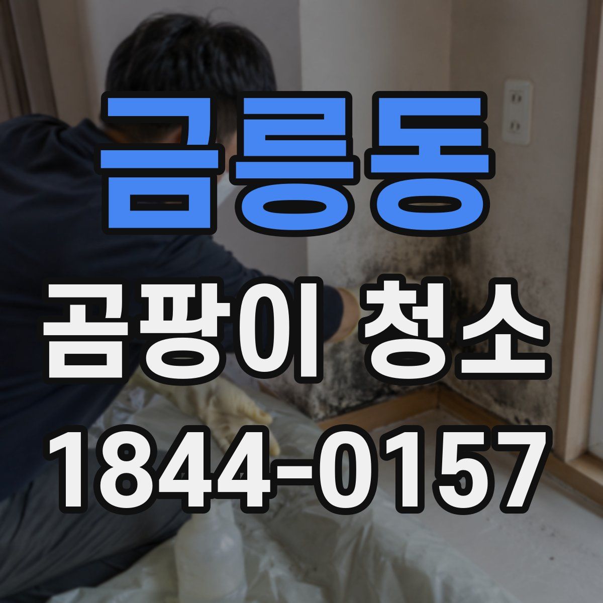 금릉동 곰팡이 청소