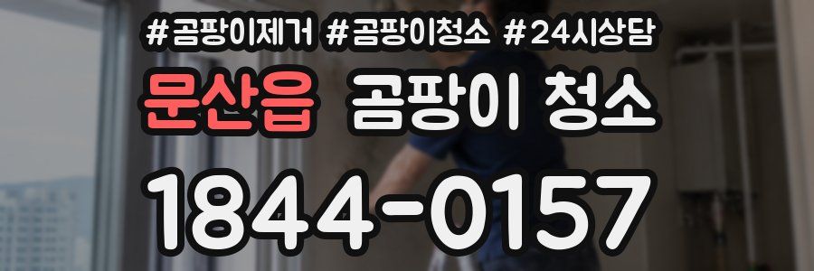 문산읍 곰팡이 청소