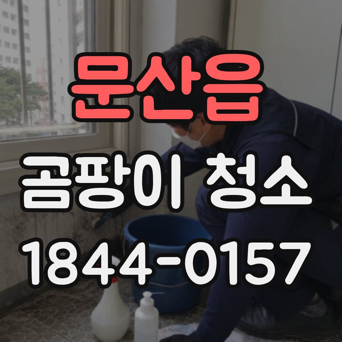 문산읍 곰팡이 청소