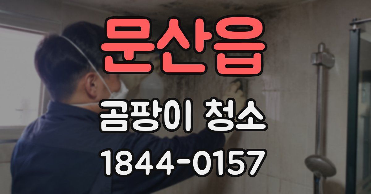 문산읍 곰팡이 청소
