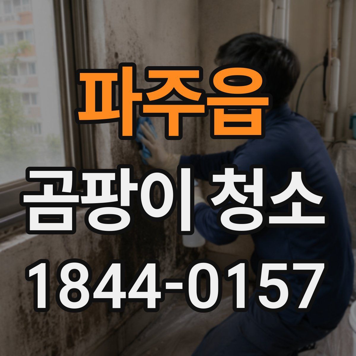 파주읍 곰팡이 청소