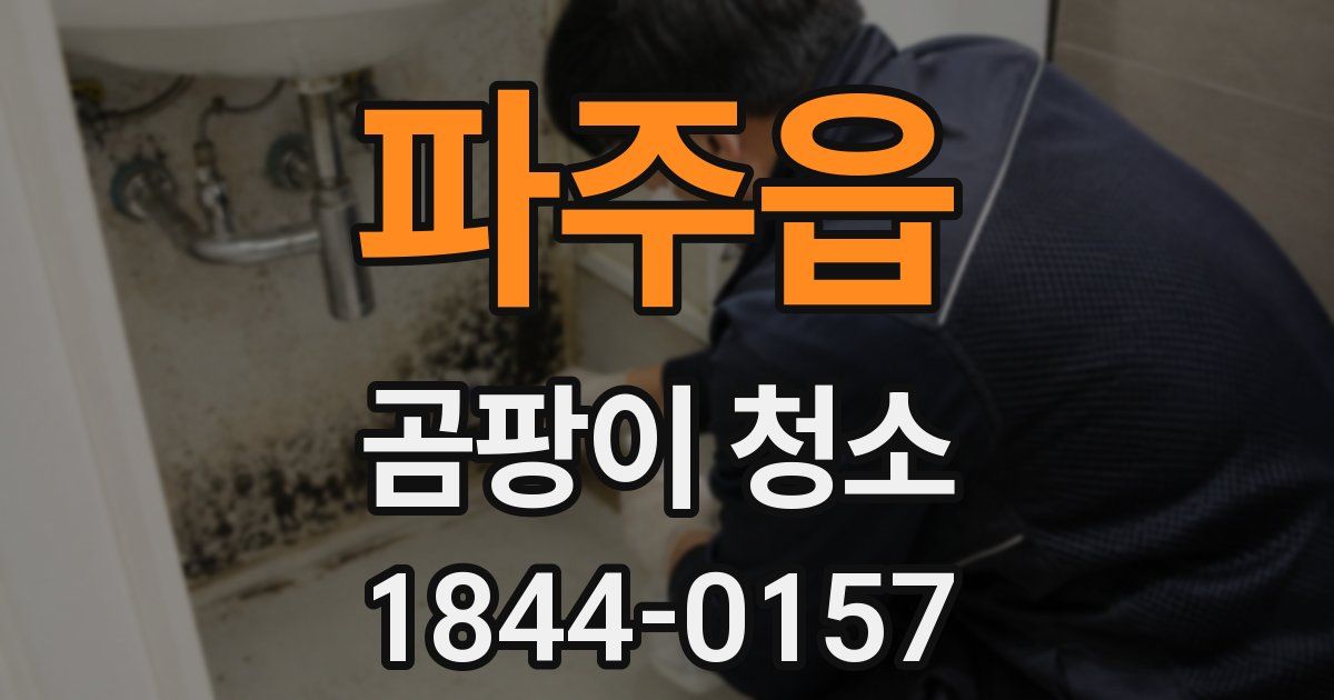 파주읍 곰팡이 청소