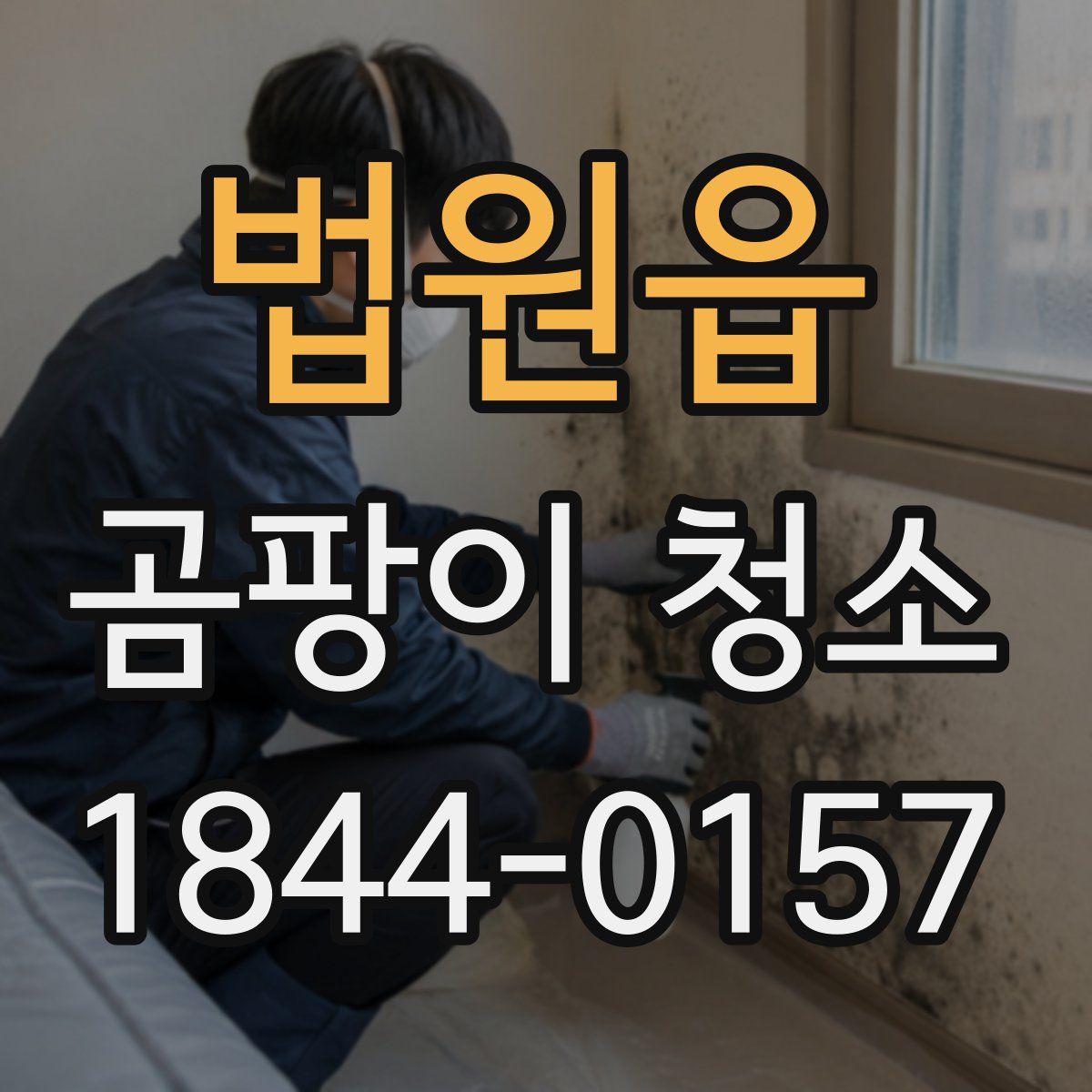 법원읍 곰팡이 청소