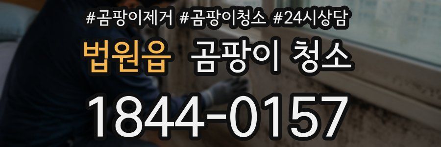 법원읍 곰팡이 청소