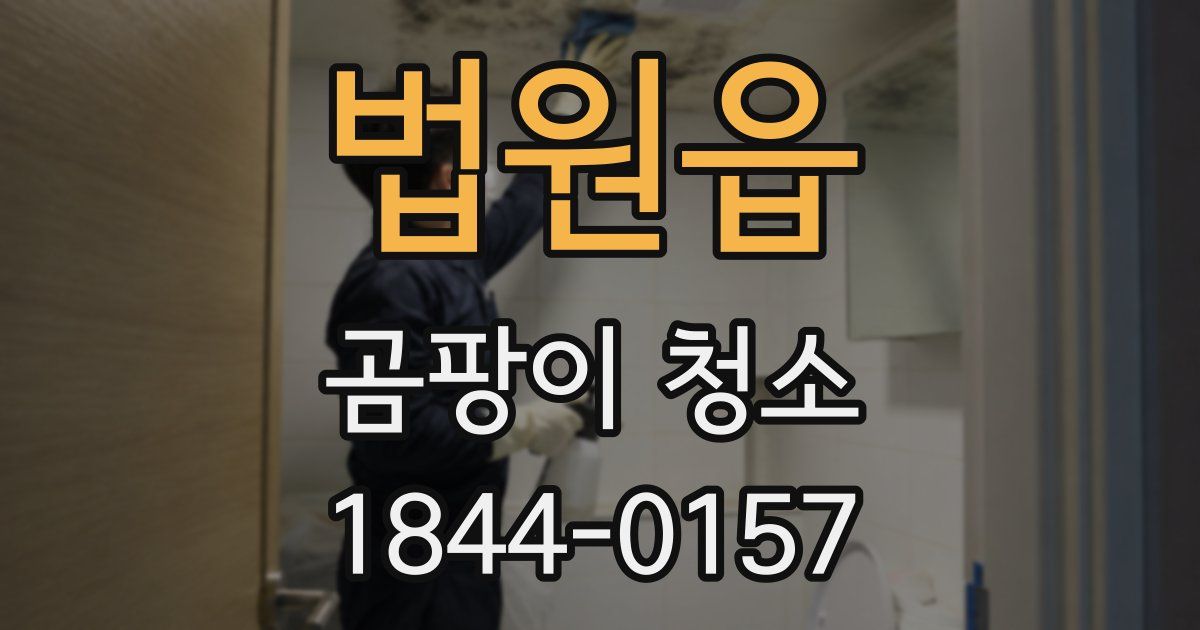 법원읍 곰팡이 청소
