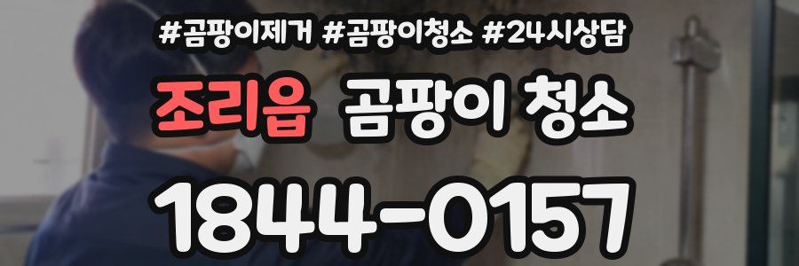 조리읍 곰팡이 청소