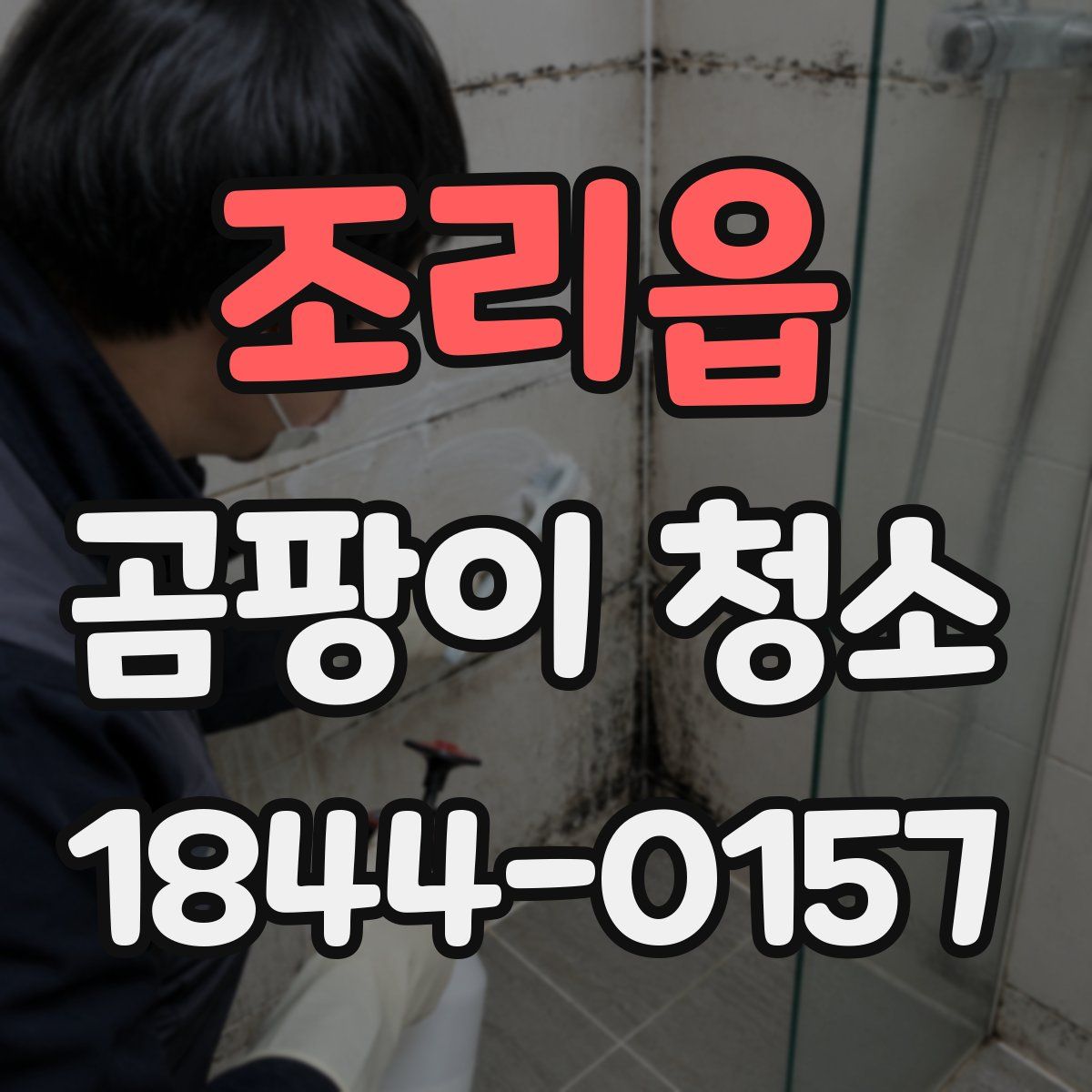 조리읍 곰팡이 청소