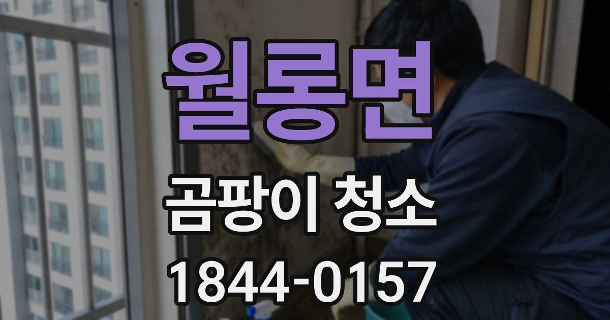 월롱면 곰팡이 청소
