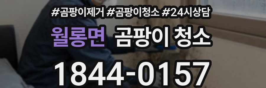 월롱면 곰팡이 청소