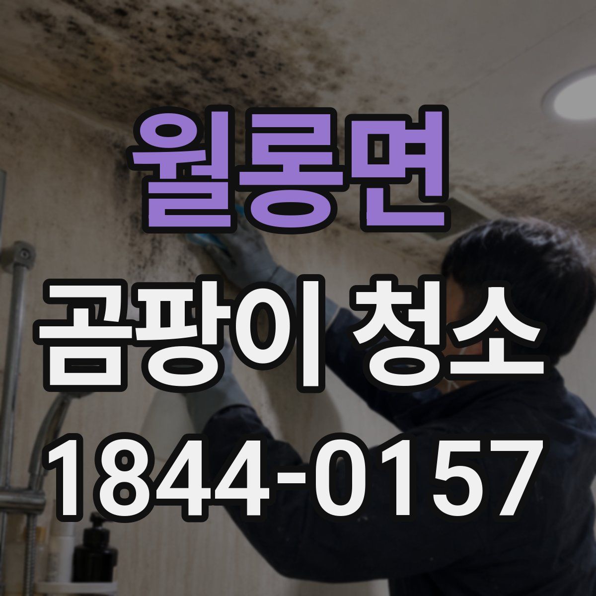 월롱면 곰팡이 청소