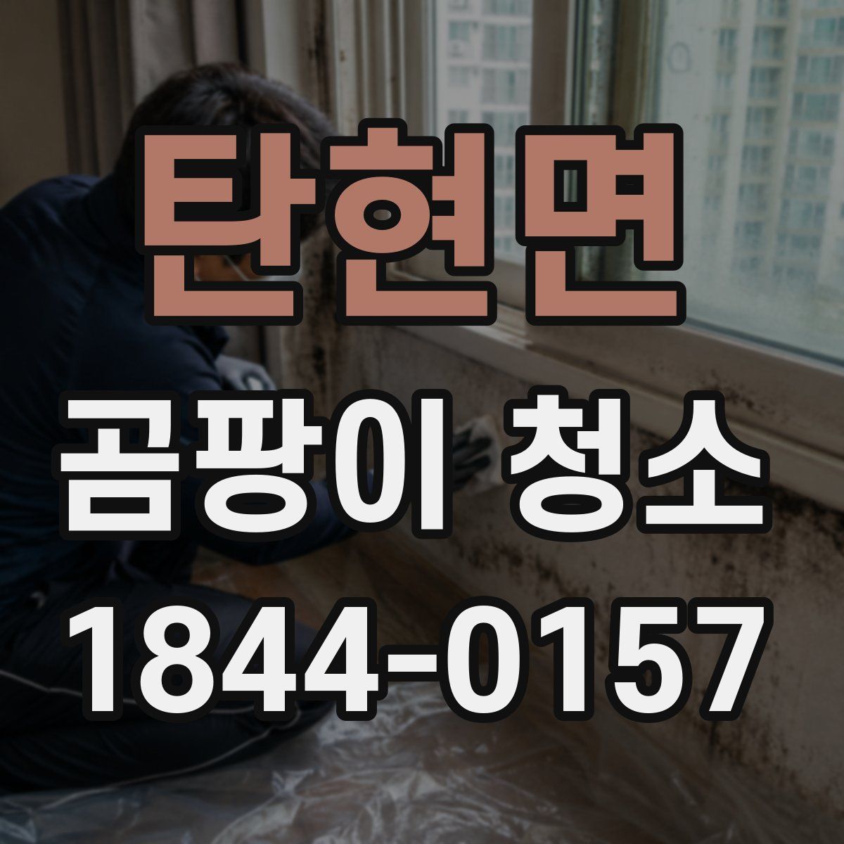 탄현면 곰팡이 청소