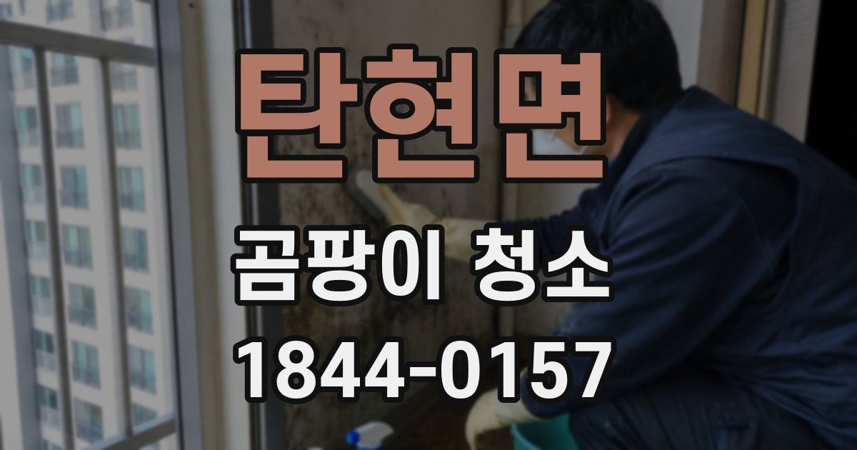 탄현면 곰팡이 청소