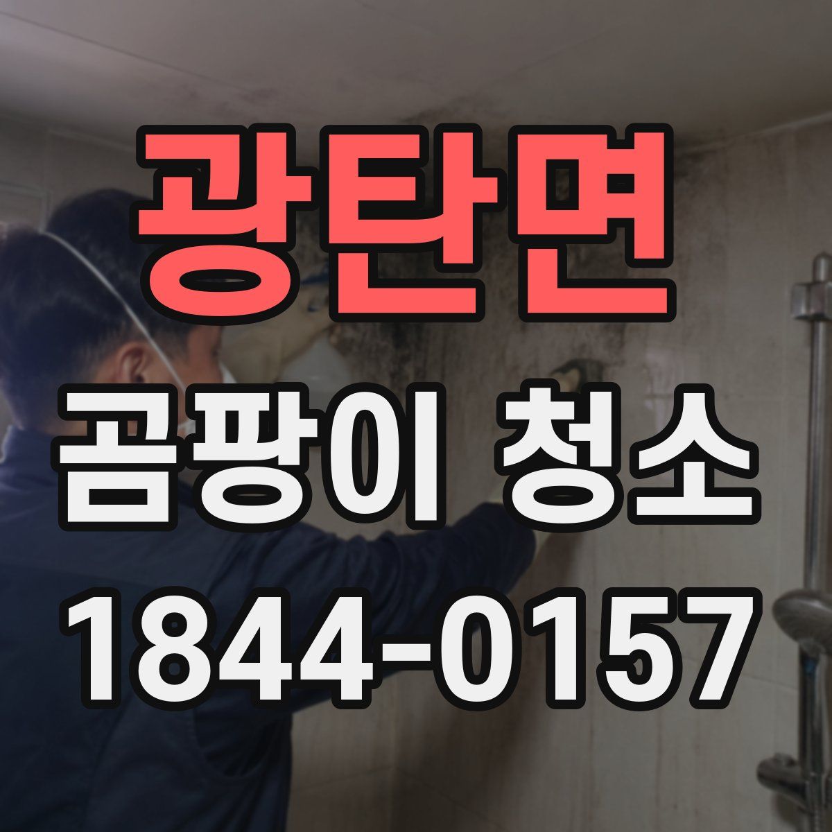 광탄면 곰팡이 청소