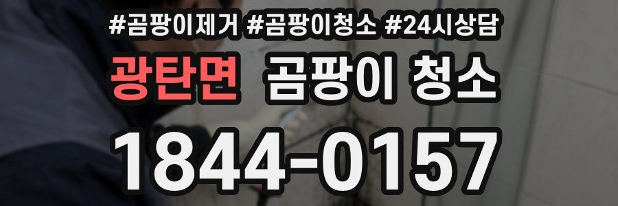 광탄면 곰팡이 청소