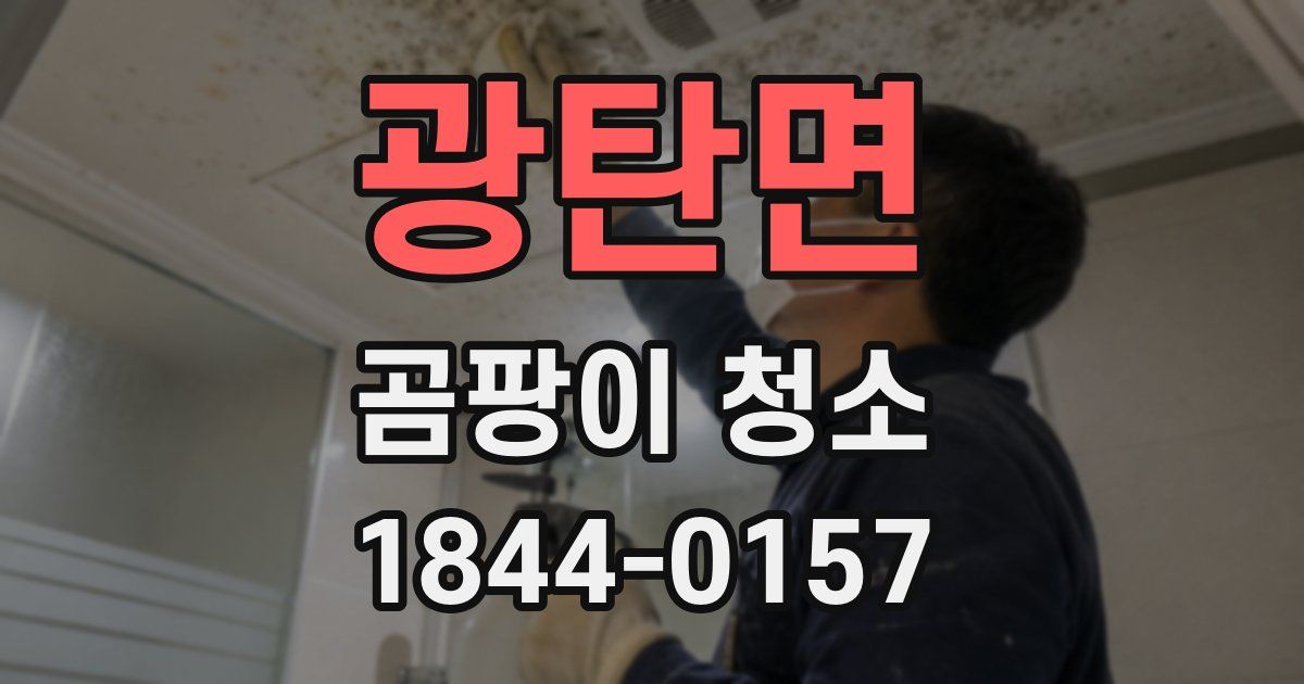 광탄면 곰팡이 청소