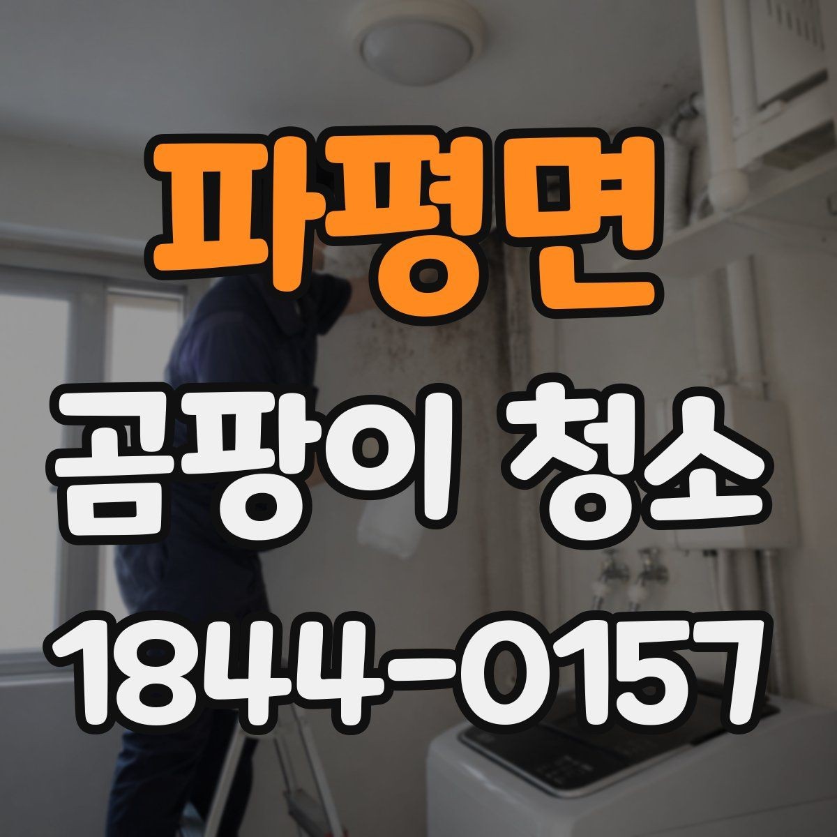 파평면 곰팡이 청소 오래된 얼룩이 번지기 쉬운 표면의 조건