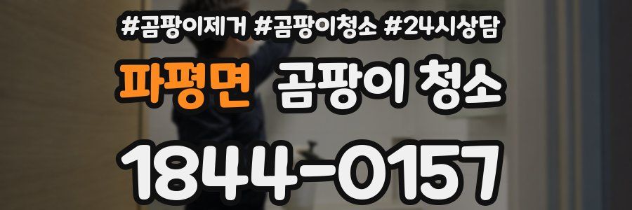 파평면 곰팡이 청소