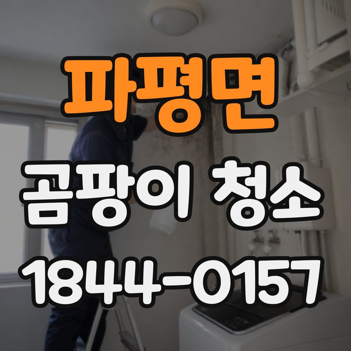 파평면 곰팡이 청소