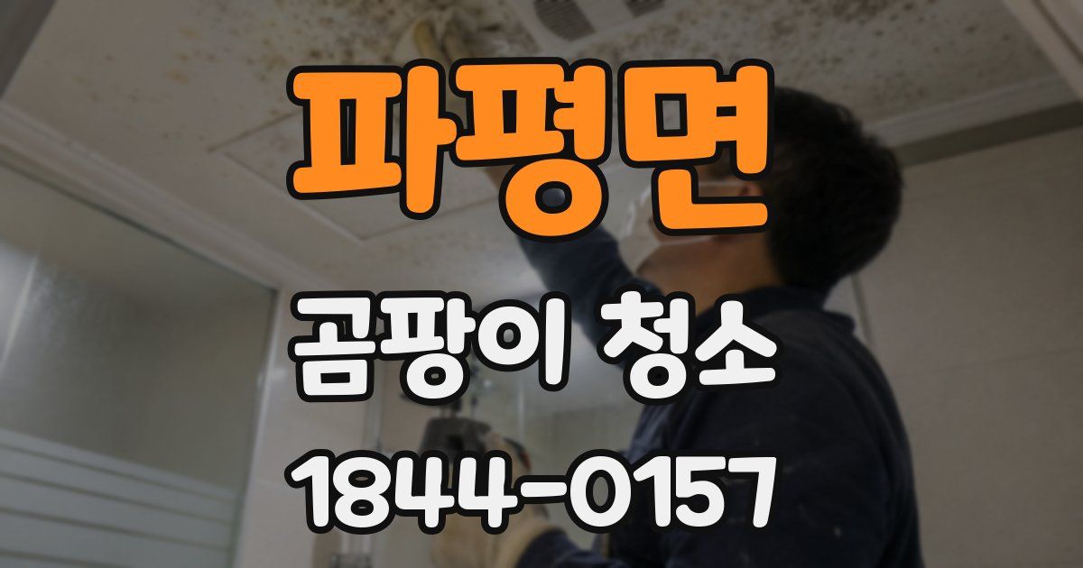 파평면 곰팡이 청소