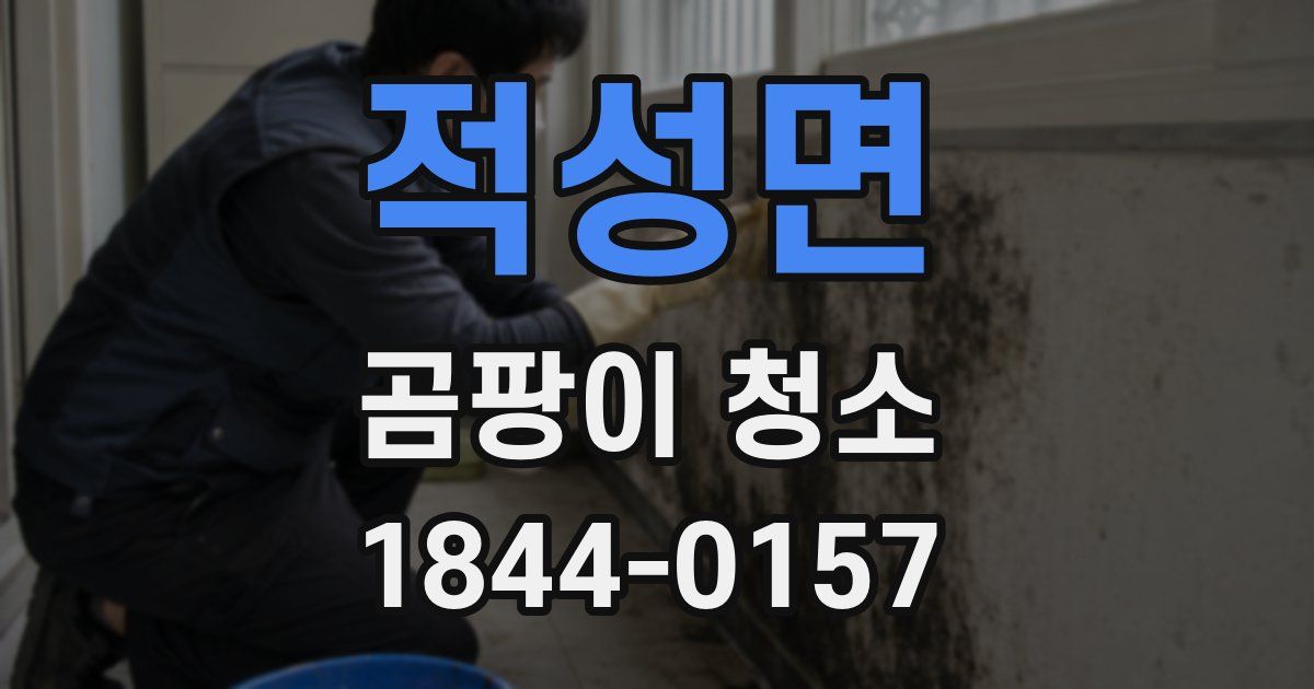 적성면 곰팡이 청소