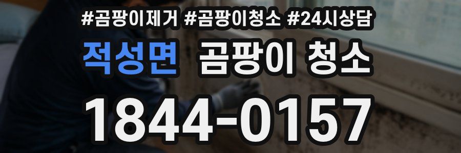 적성면 곰팡이 청소