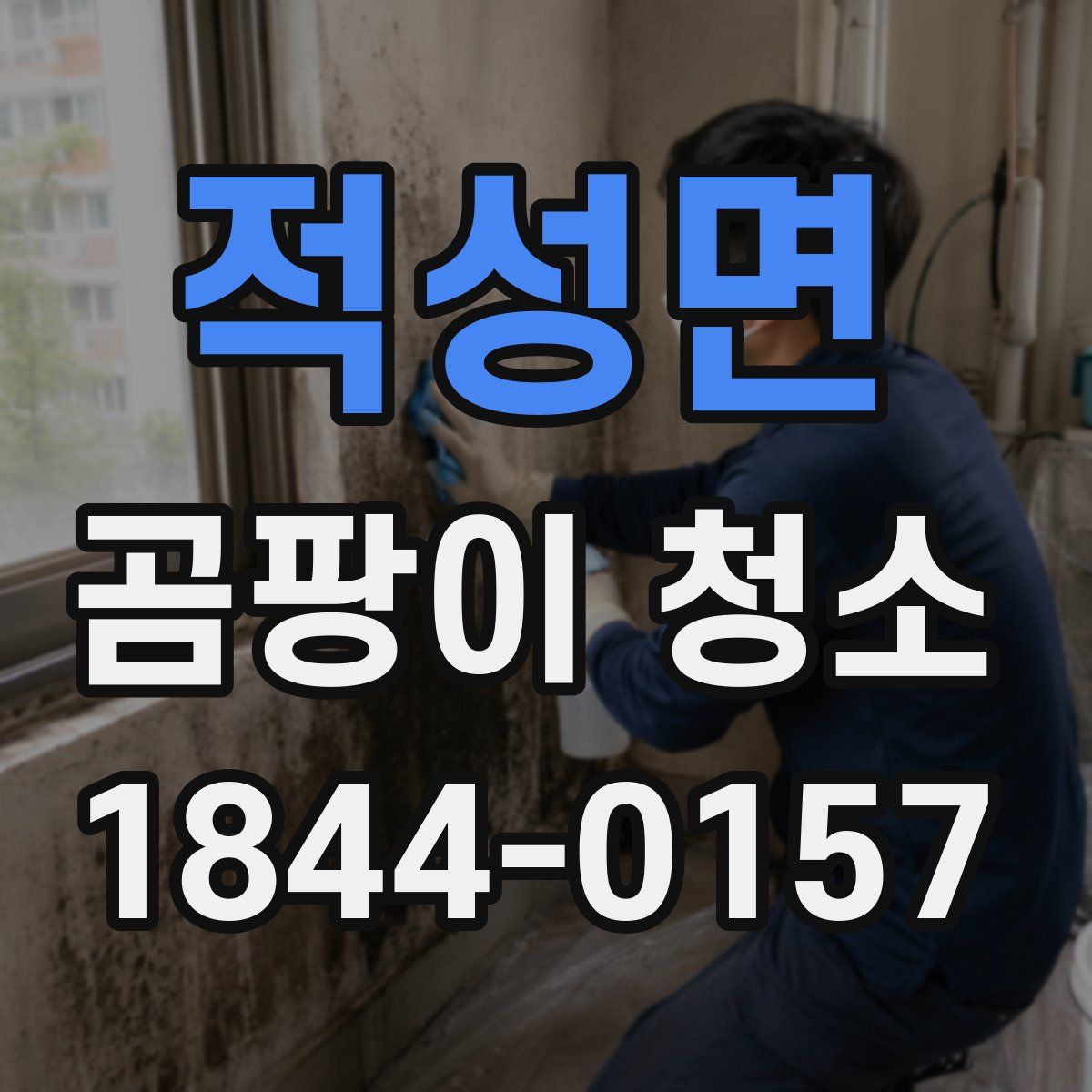 적성면 곰팡이 청소