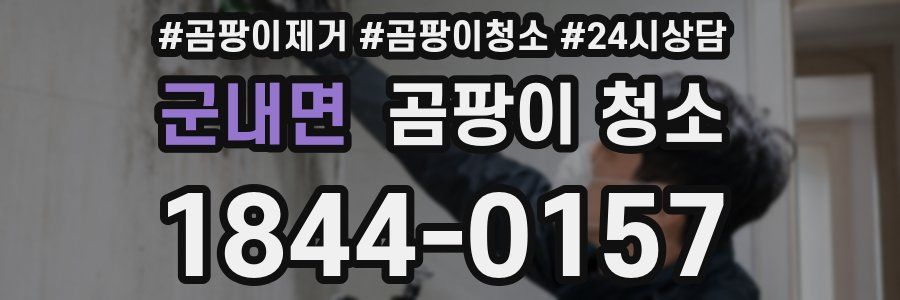 군내면 곰팡이 청소