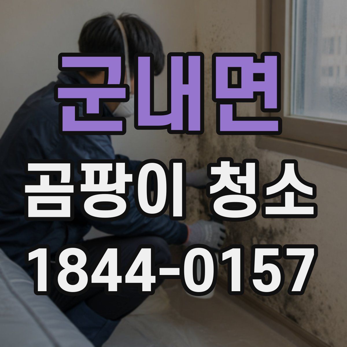 군내면 곰팡이 청소