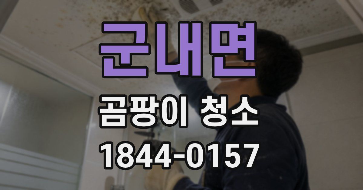 군내면 곰팡이 청소