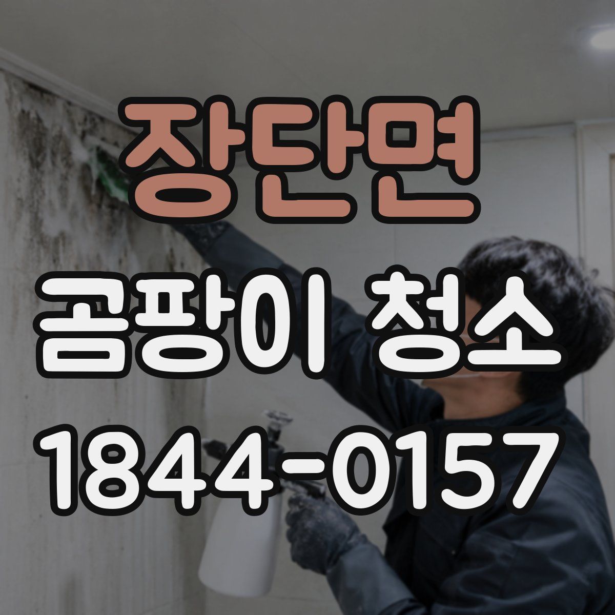 장단면 곰팡이 청소