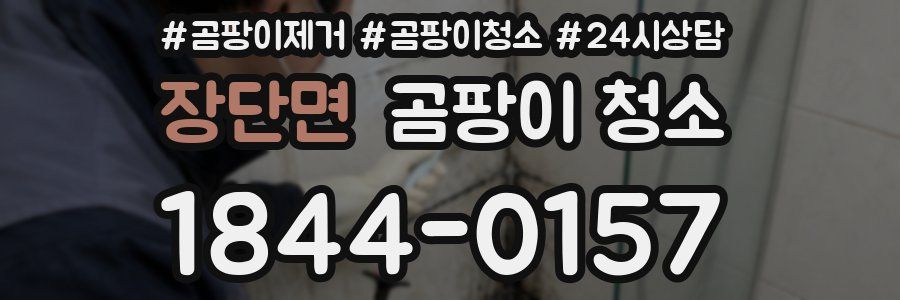 장단면 곰팡이 청소