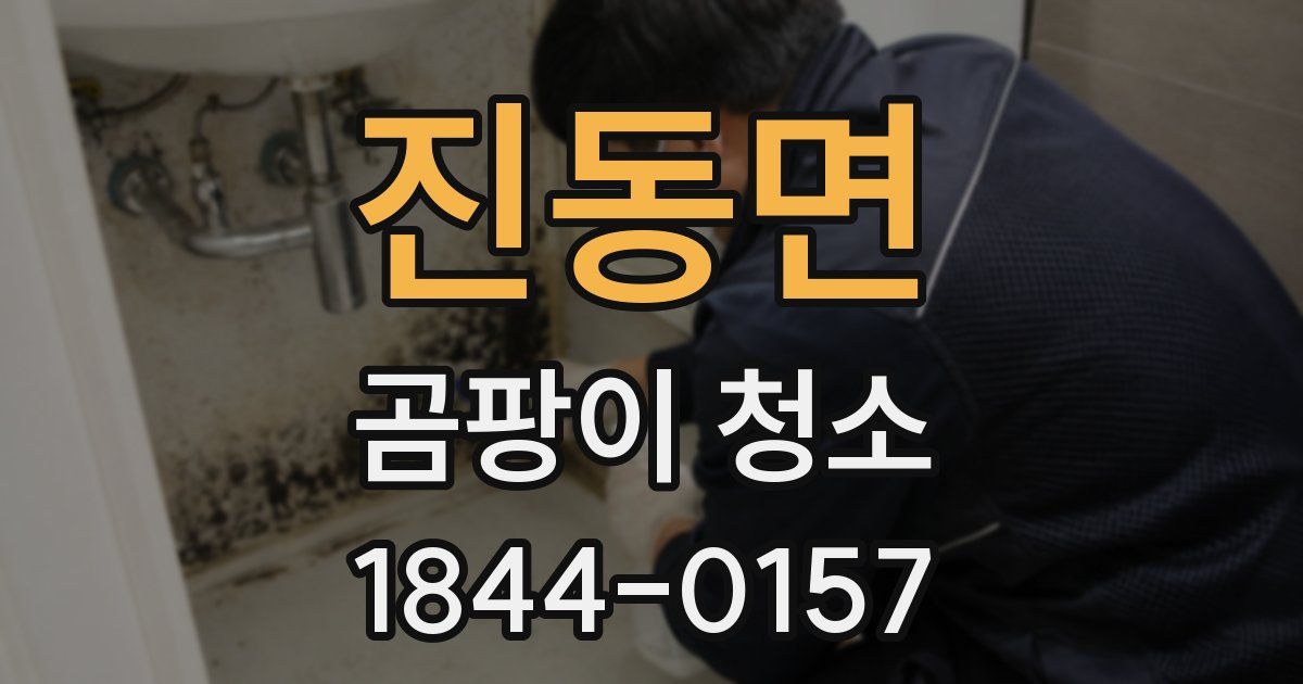 진동면 곰팡이 청소