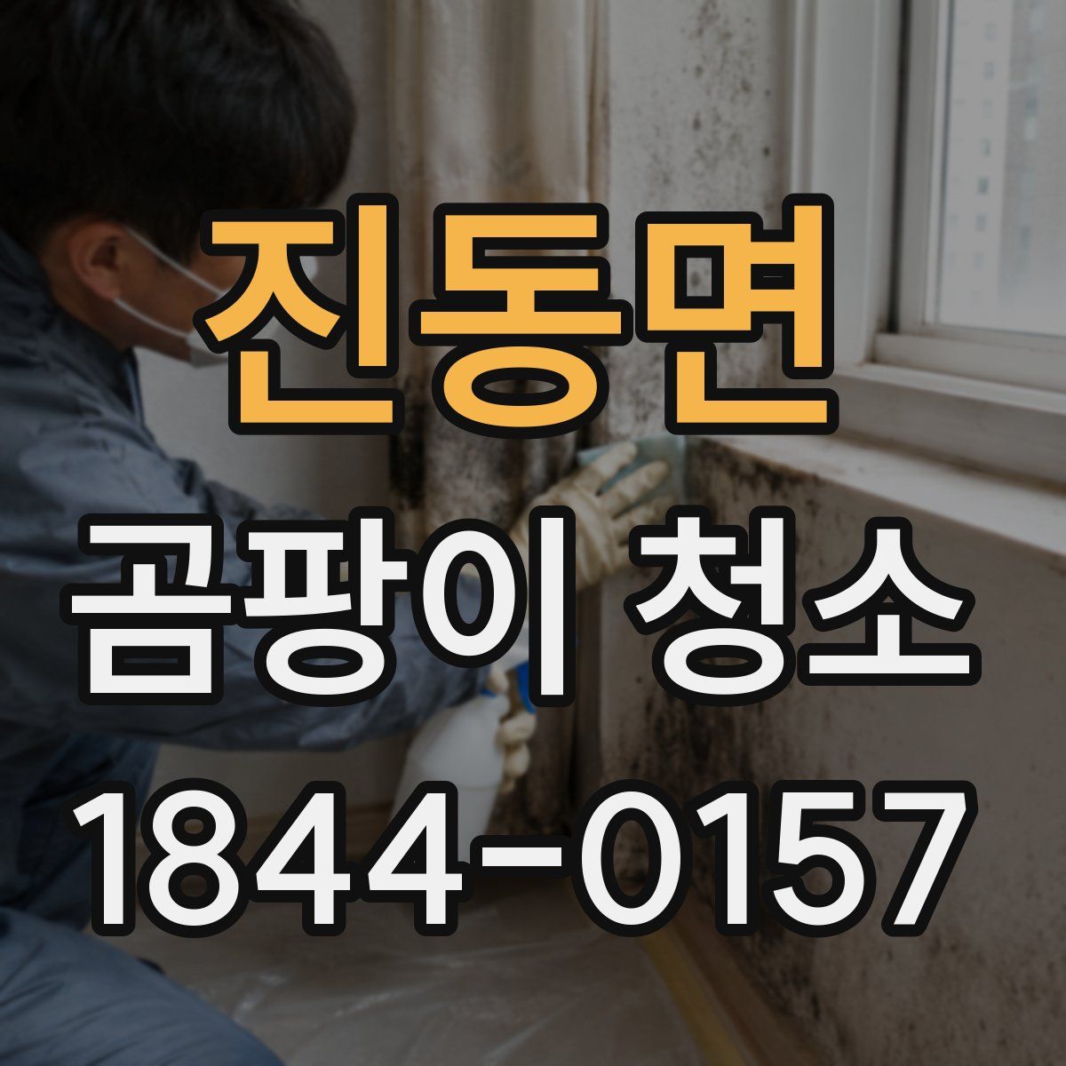 진동면 곰팡이 청소