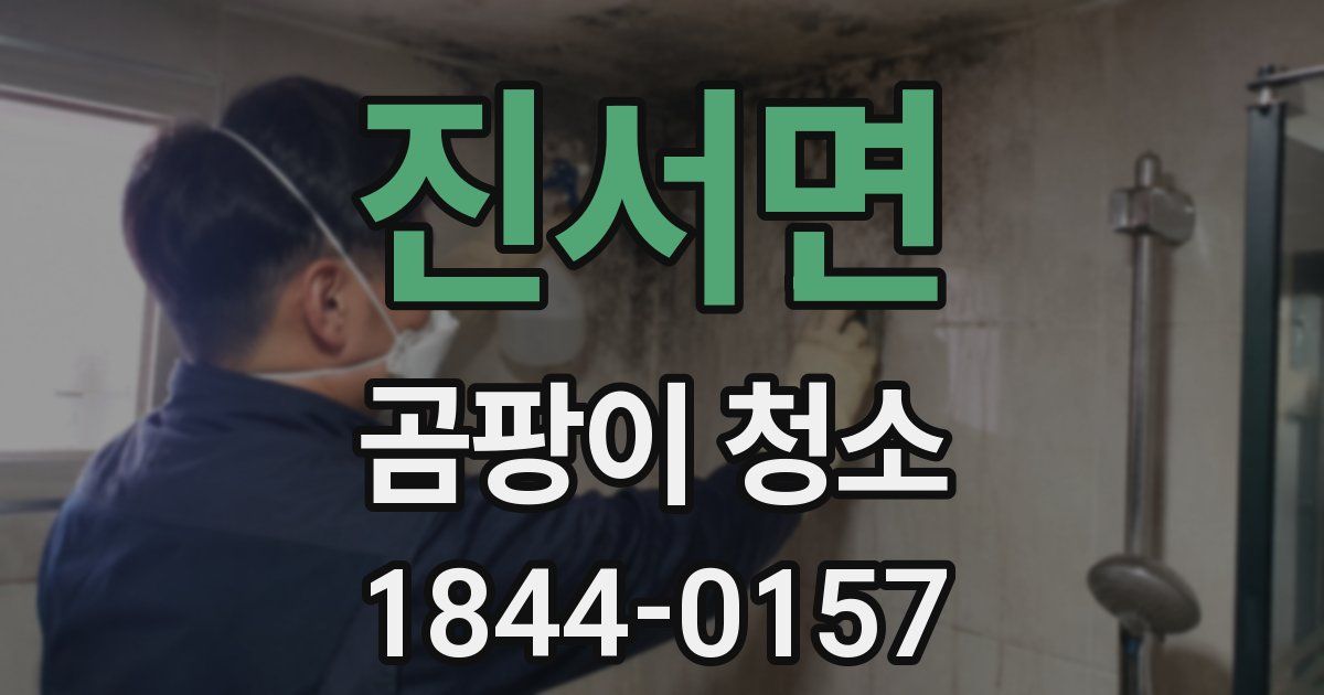 진서면 곰팡이 청소